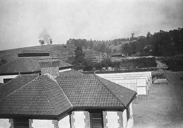 Archival image of Biltmore greenhouses during the 1916 flood.