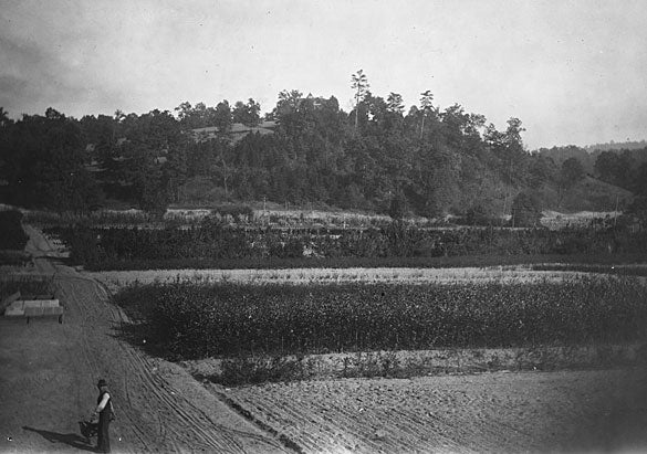 Archival image of the 1916 flood at Biltmore.