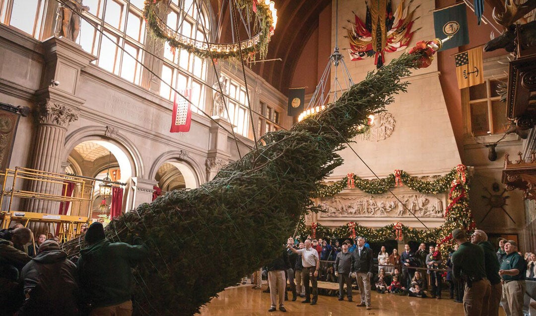 Celebrate Biltmore's tree-raising tradition virtually