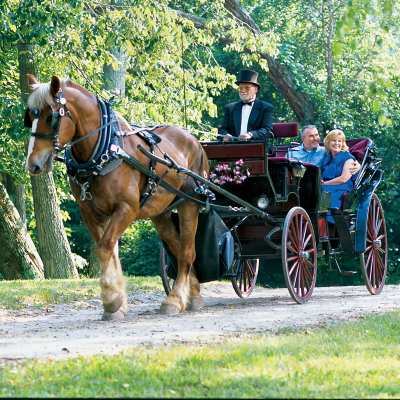 Private Carriage Ride - Biltmore