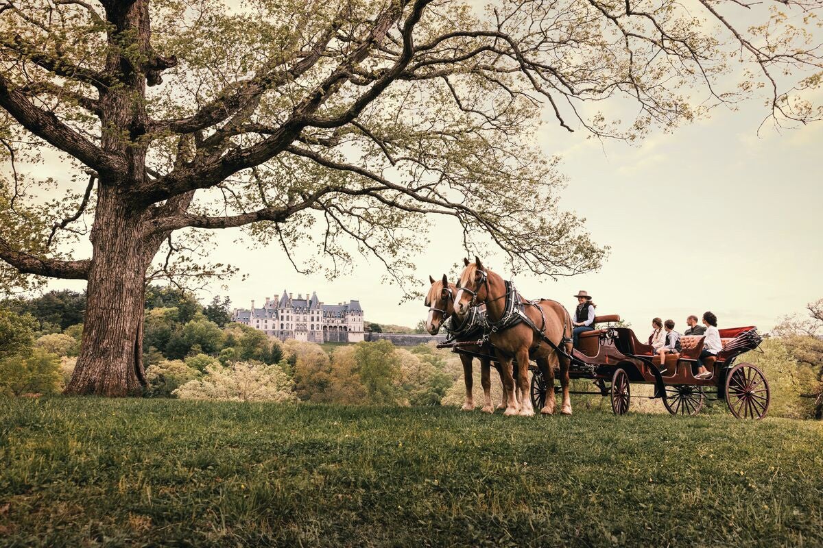 Spring At Biltmore Biltmore