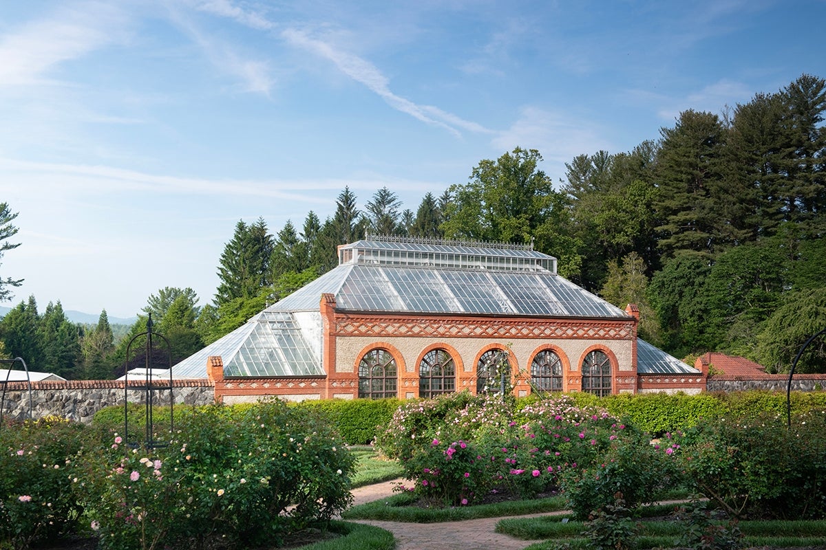 Savor spring with the Biltmore Blooms Frosted Wine Glass