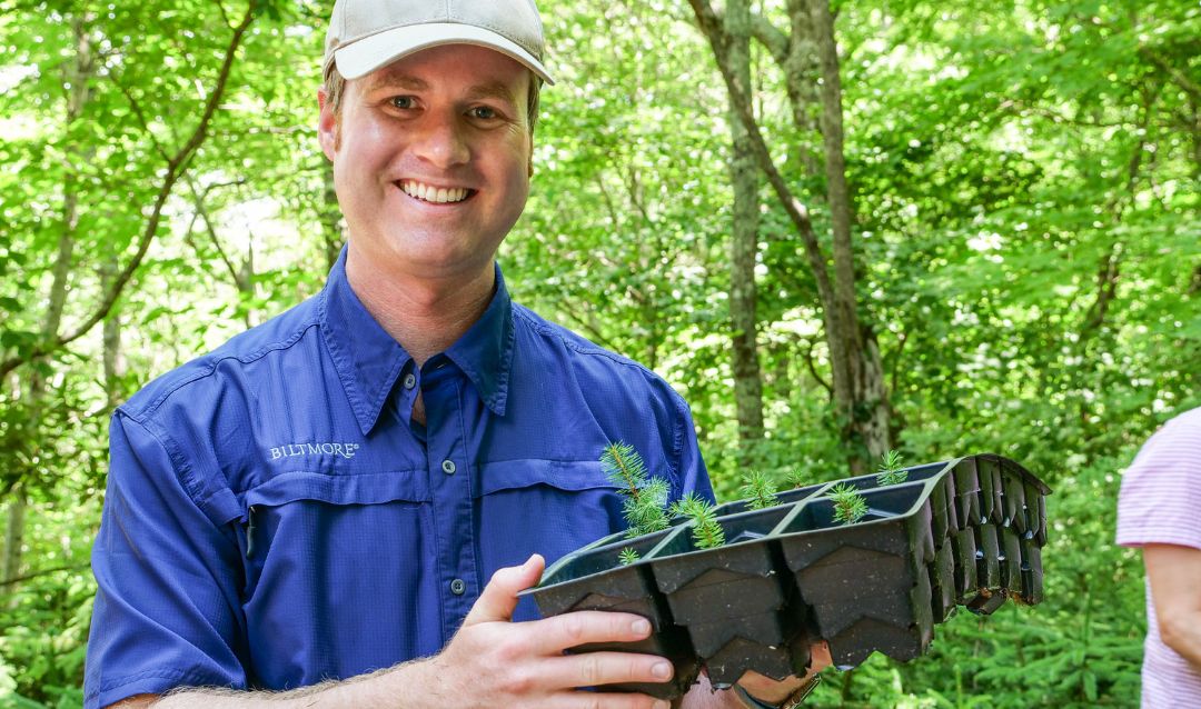 Chase Pickering with baby spruce-fir plantings