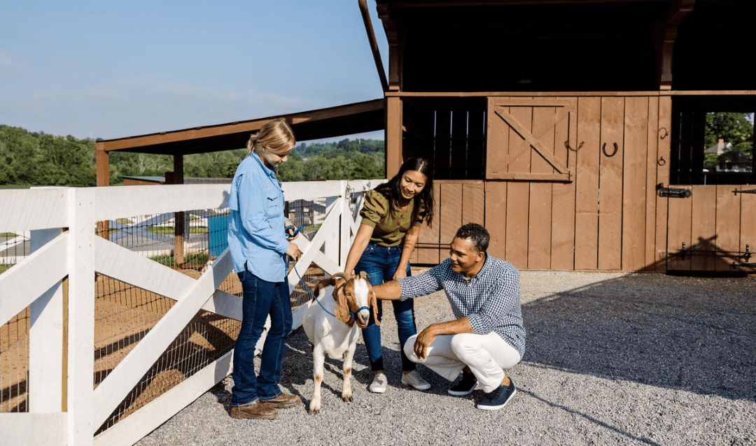 Family playing with goat at Farmyard at Biltmore