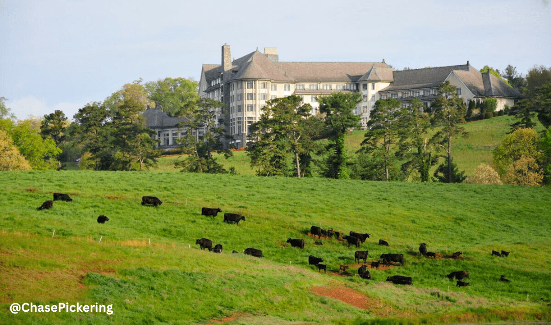 Guests at The Inn have the chance to spot our herd hard at work grazing the fields.