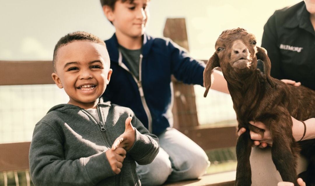 Children meeting goat in Antler Hill Village.