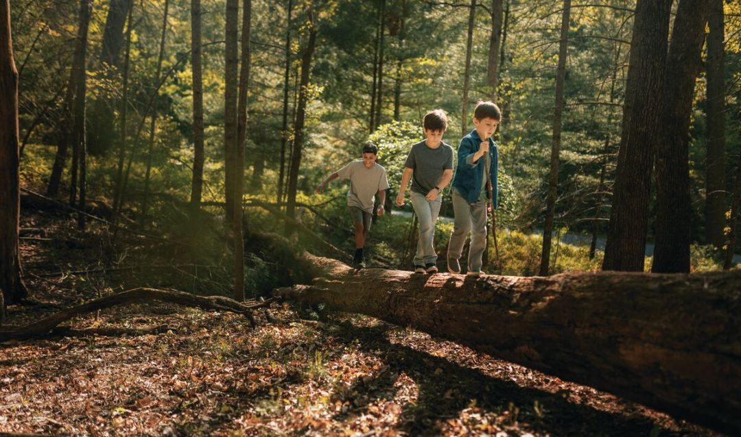 Kids exploring Biltmore's hiking trails.