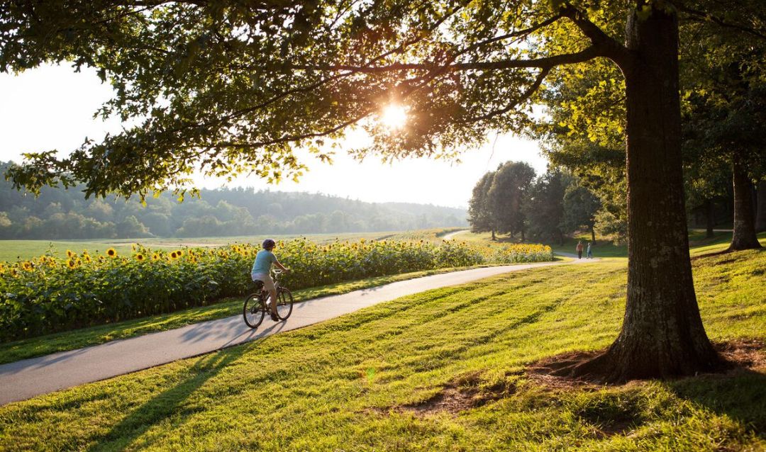 A women riding her bike on Biltmore Estate.