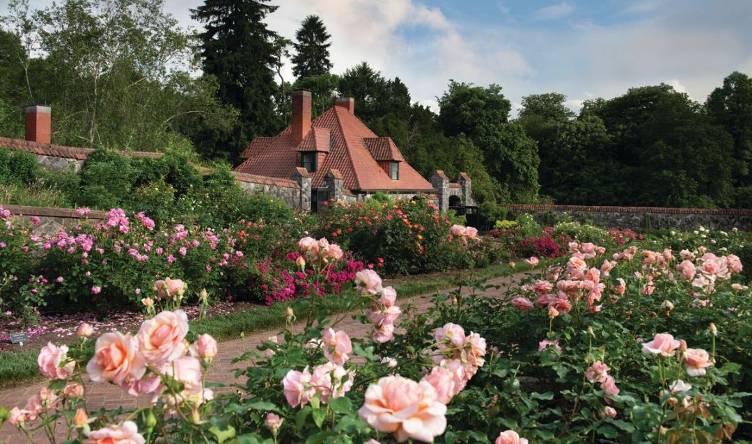 Rose Garden Spring 2024