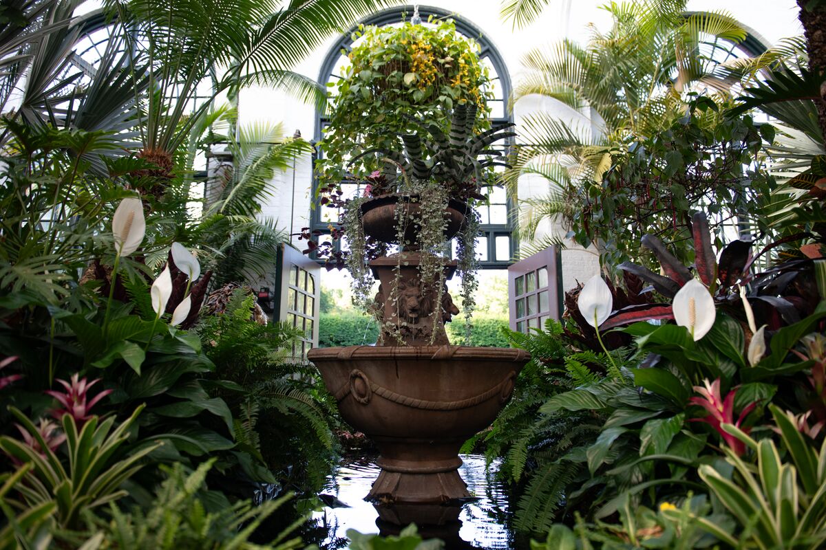 Inside the Conservatory, Summer 2024