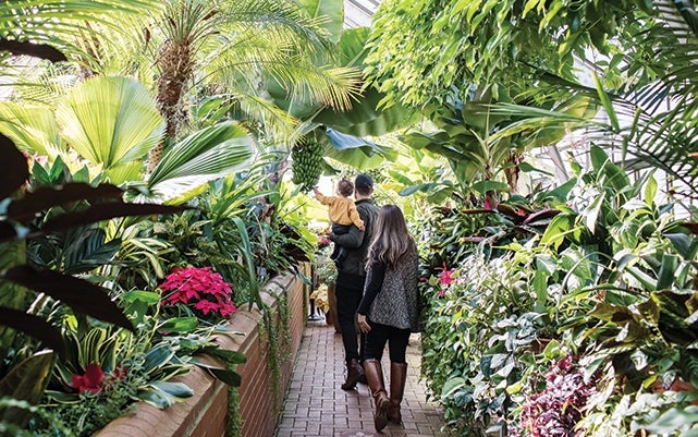 Family walking in plant-filled Conservatory on Biltmore Estate